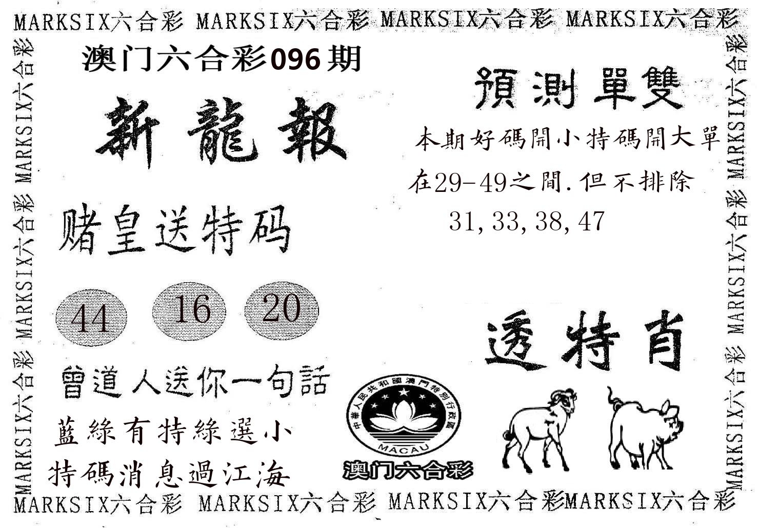 新龙报 第96期