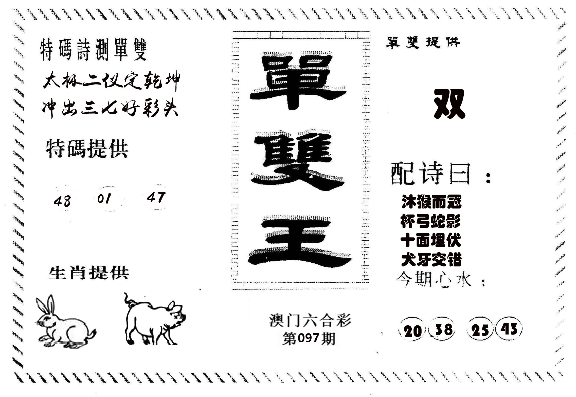 单双王B 第97期