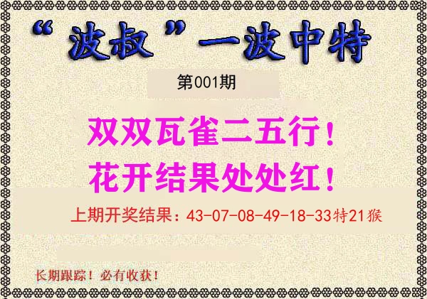 波叔中特 第1期