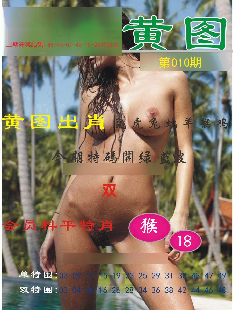 黄图出肖 第10期