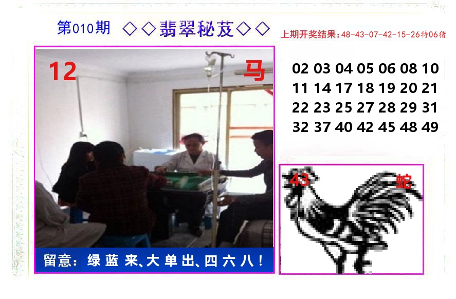 翡翠秘芨 第10期