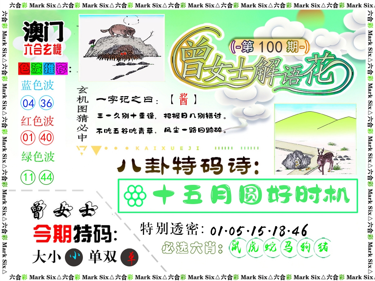 曾女士解语花 第100期