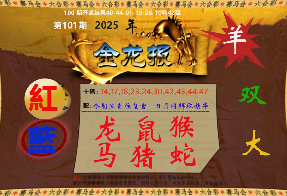 金龙报 第101期