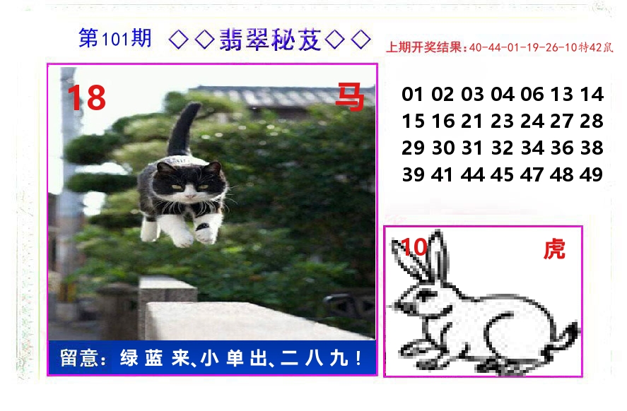 翡翠秘芨 第101期