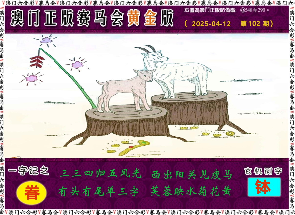 赛马会黄金版 第102期