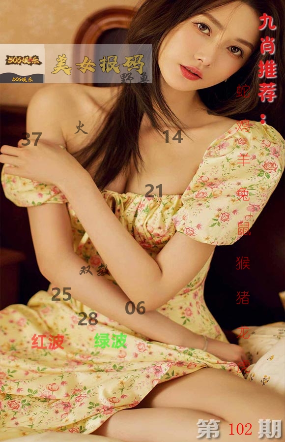 美女报码 第102期