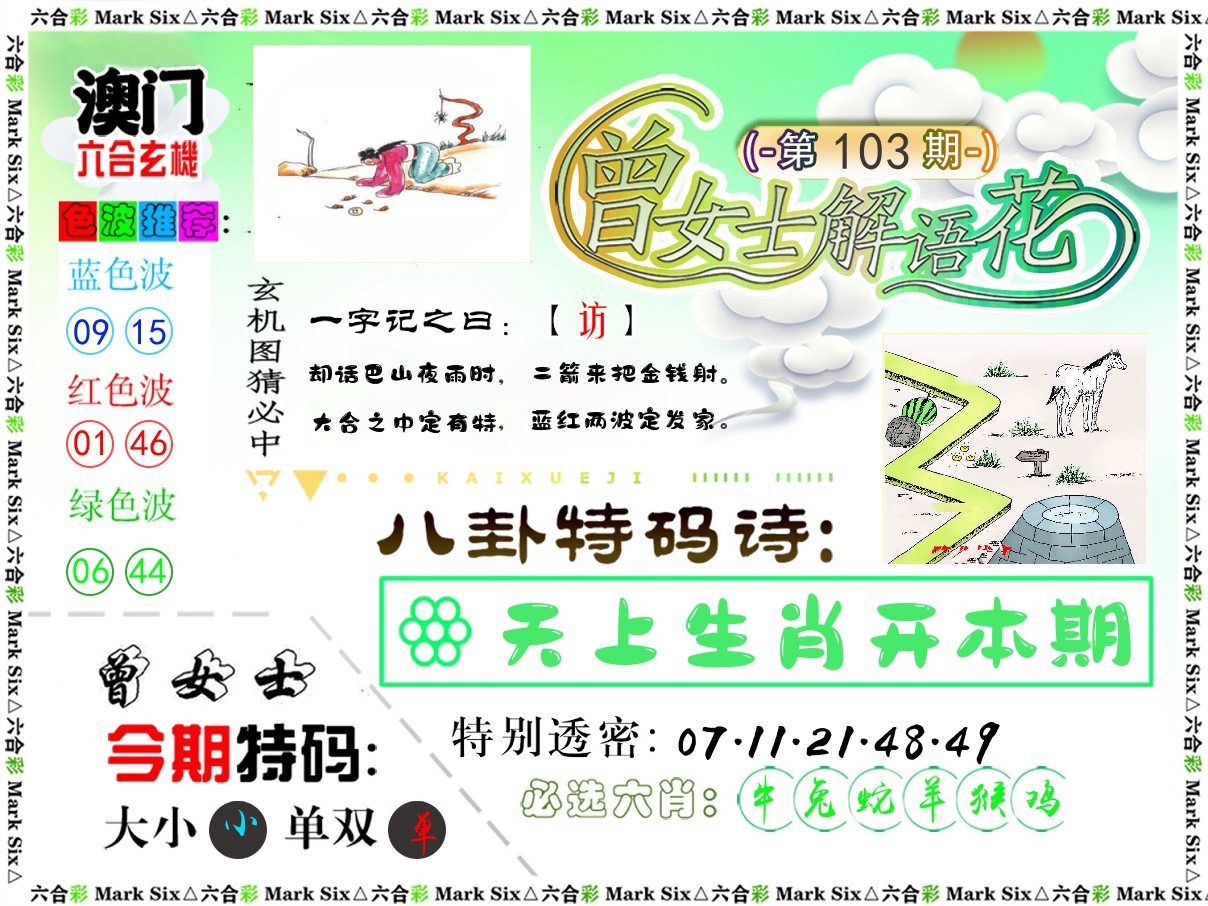 曾女士解语花 第103期