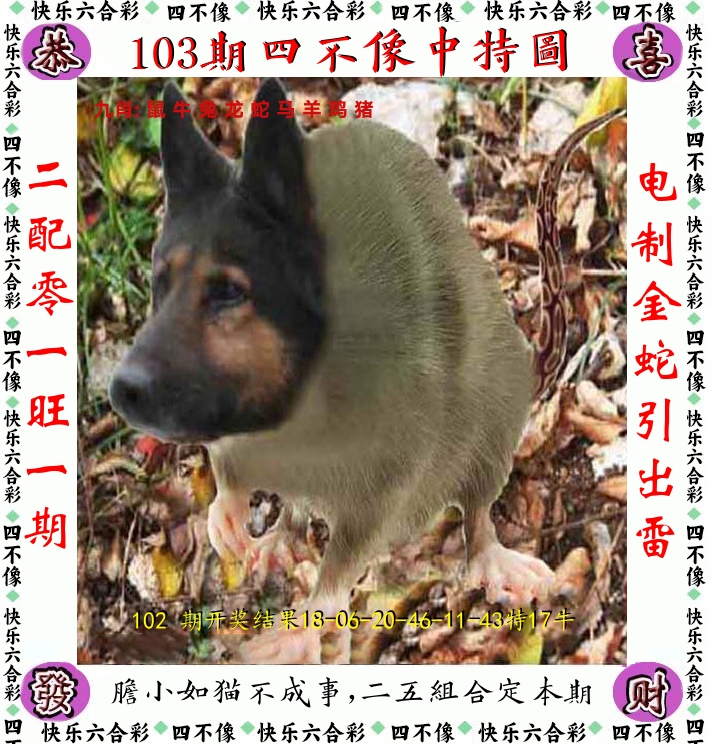 四不像 第103期
