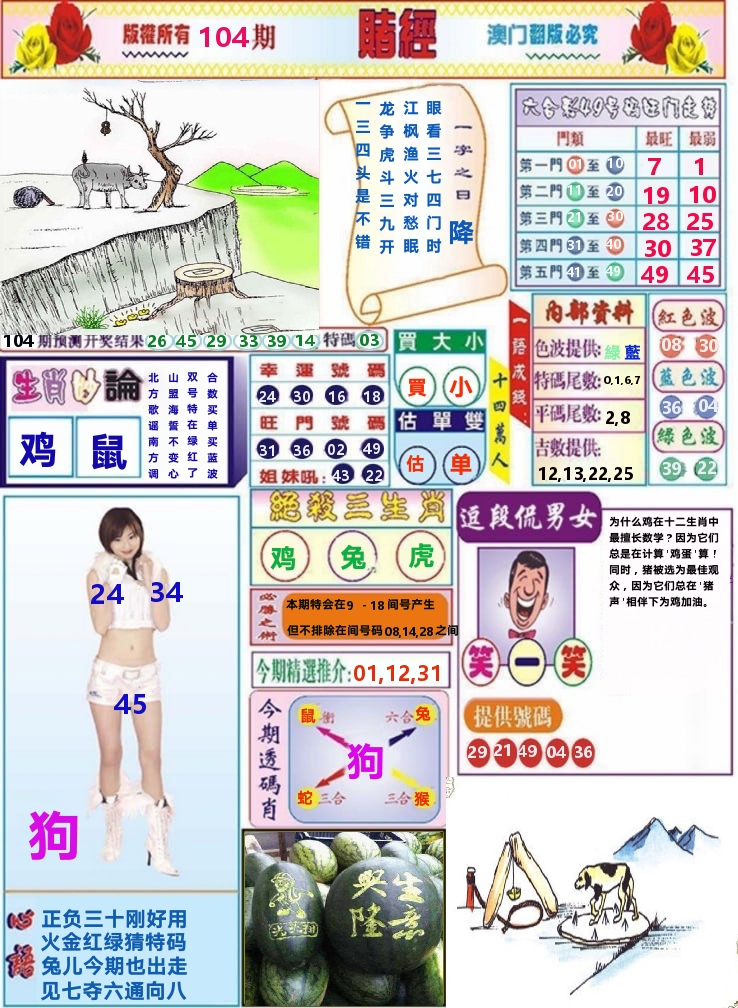 澳门赌经 第104期