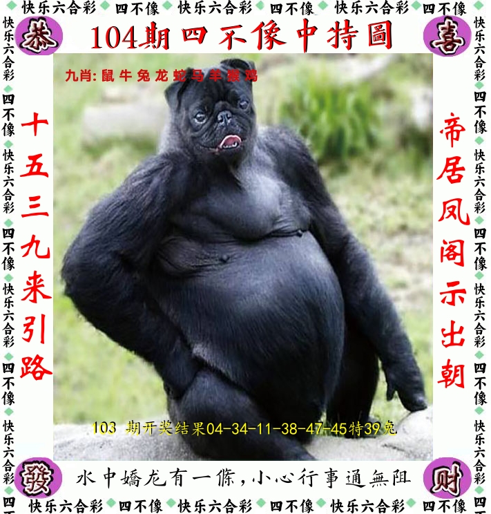 四不像 第104期