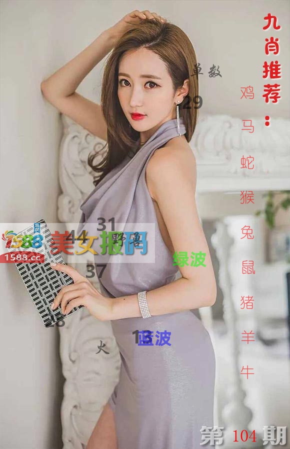美女报码 第104期