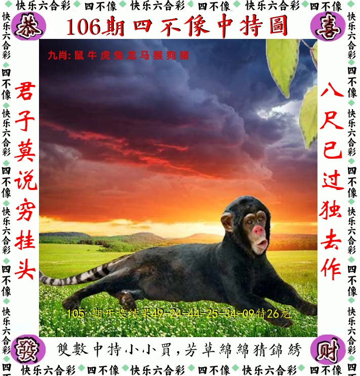 四不像 第106期