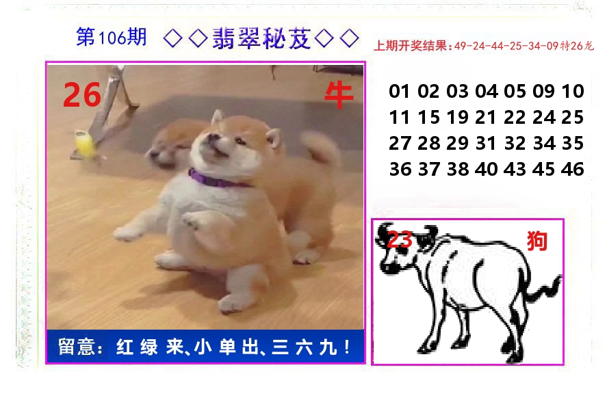 翡翠秘芨 第106期
