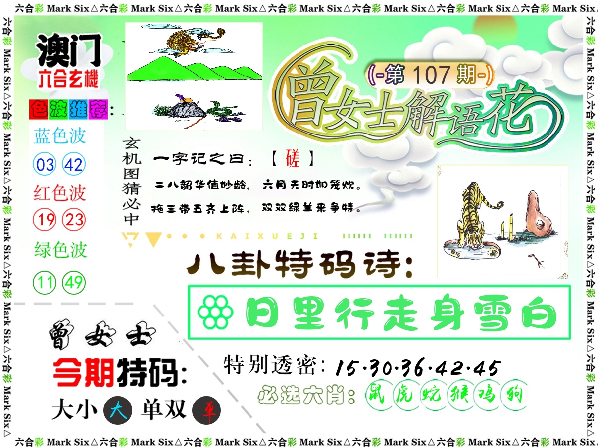 曾女士解语花 第107期