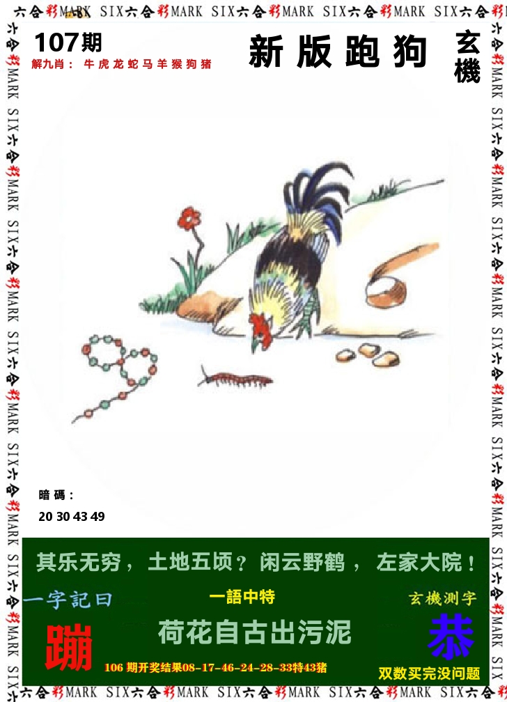 悟入其图 第107期
