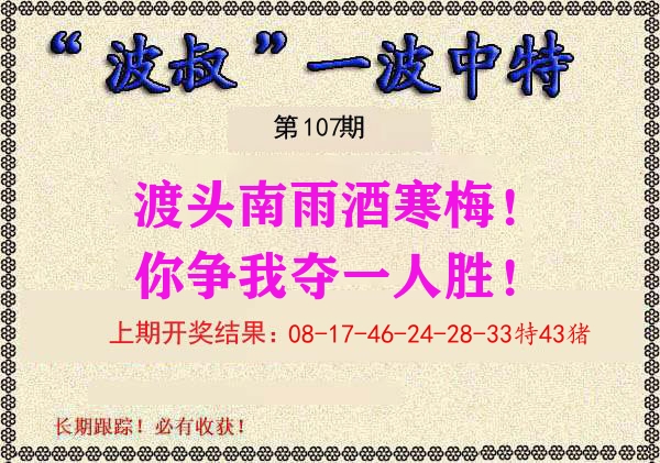 波叔中特 第107期