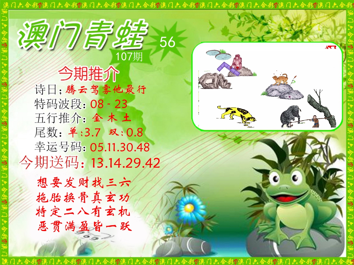 青蛙系列56 第107期