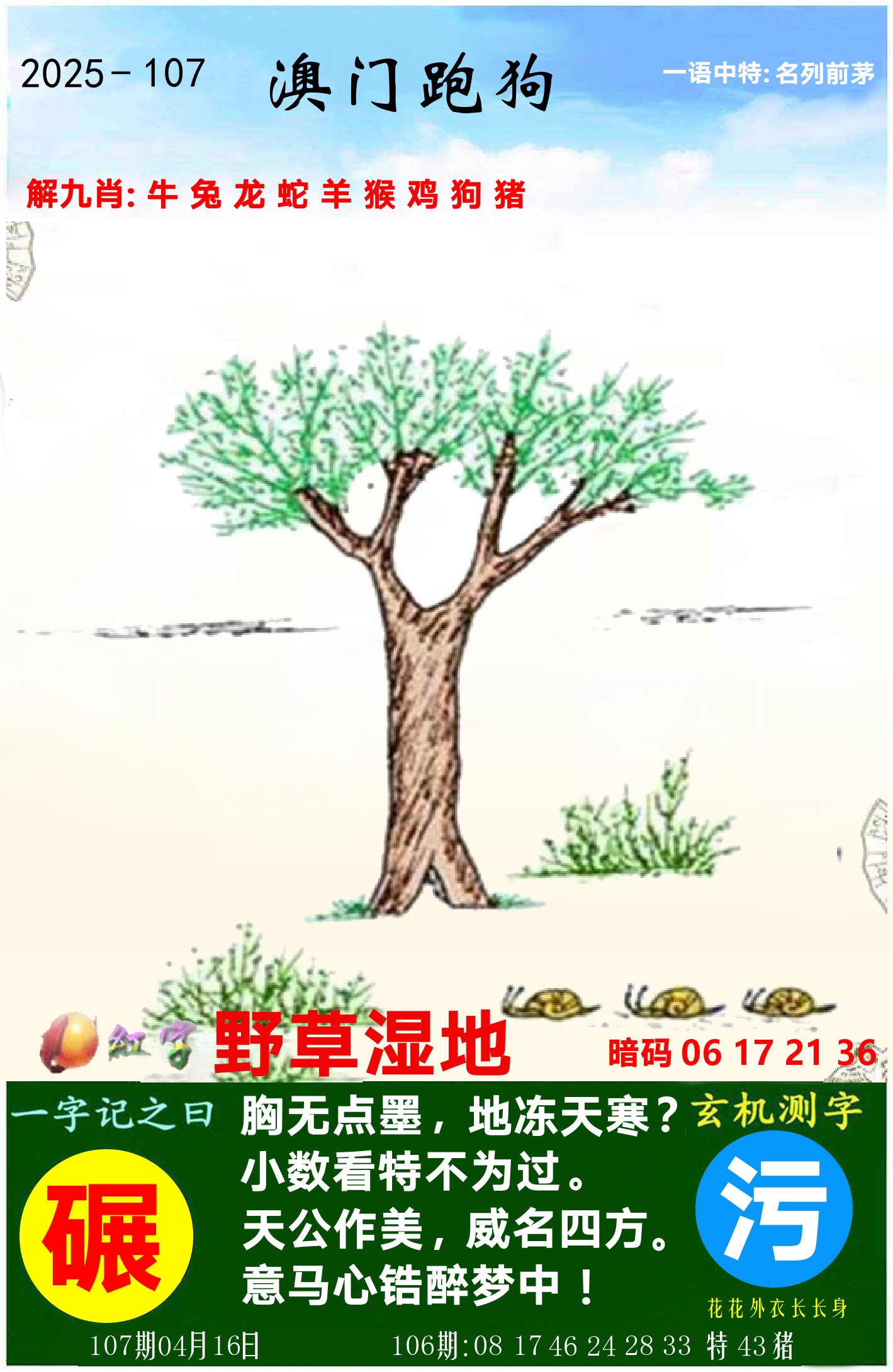 澳门跑狗图 第107期