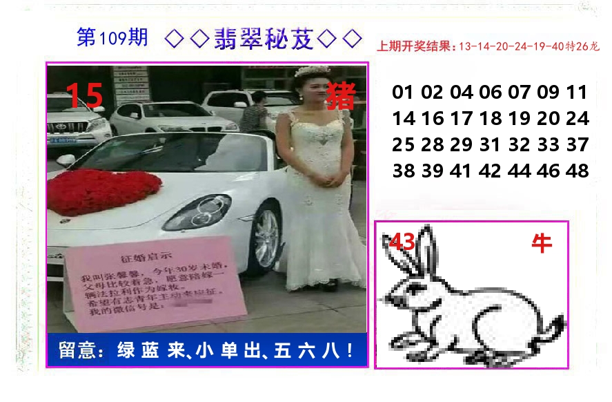 翡翠秘芨 第109期