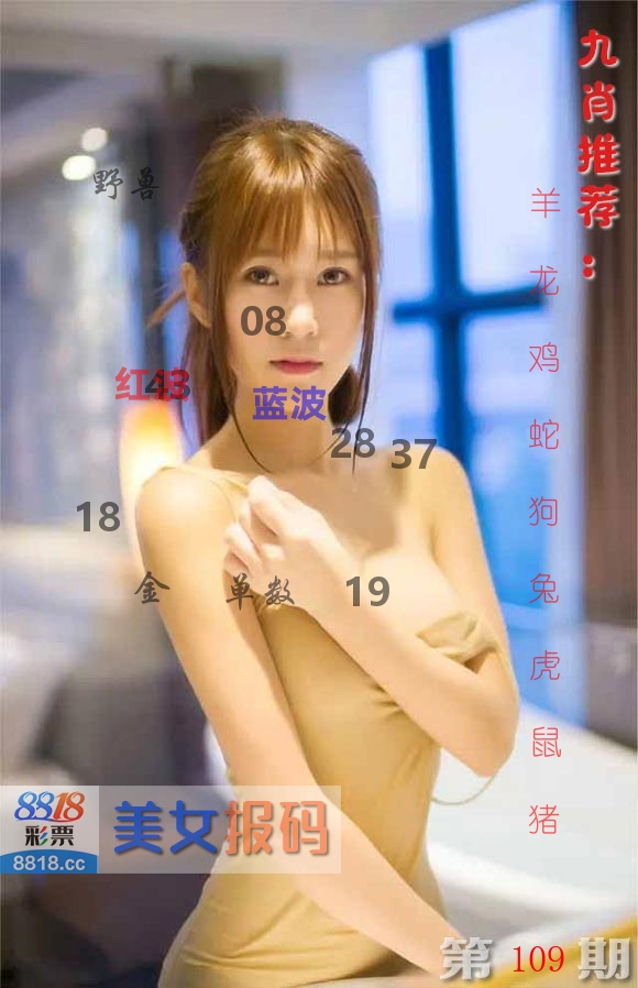 美女报码 第109期