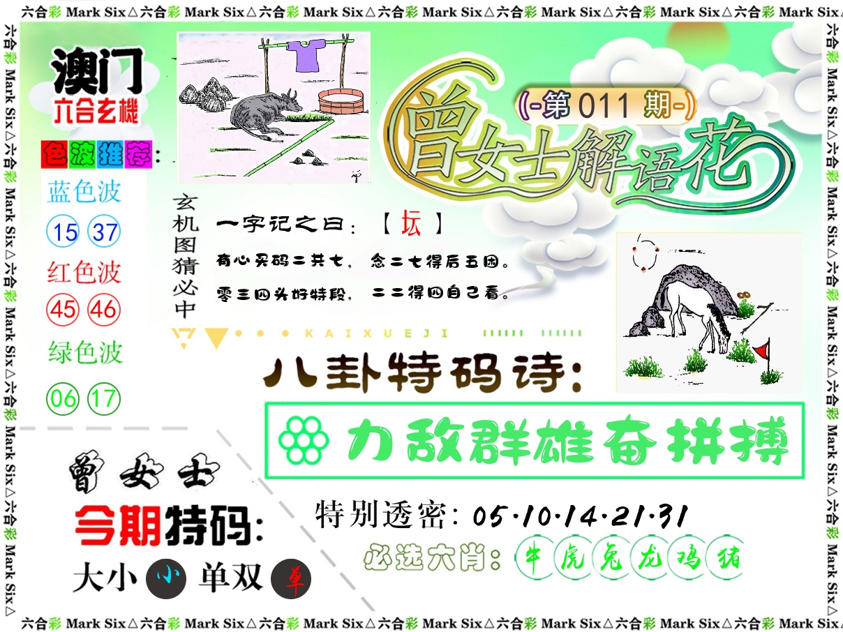 曾女士解语花 第11期