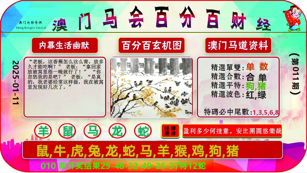 百分百财经 第11期