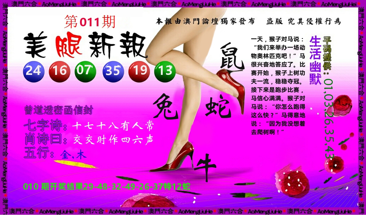 美腿新报 第11期