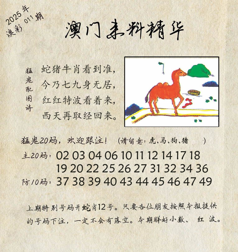 精华来料 第11期