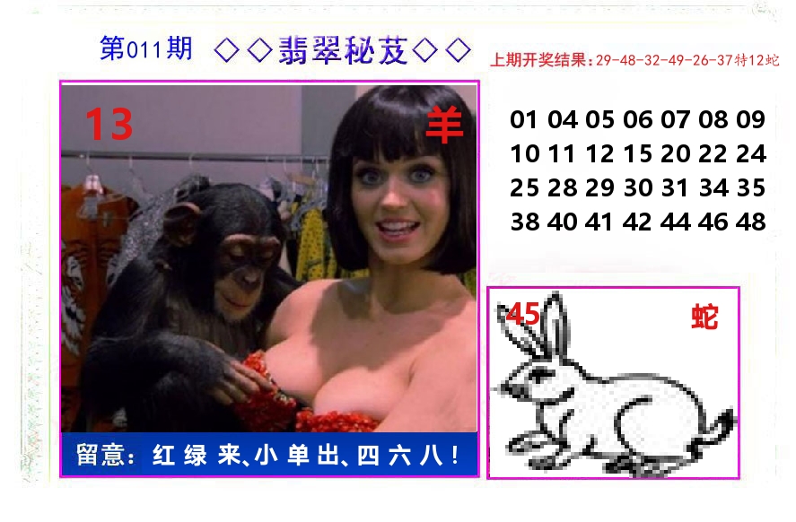 翡翠秘芨 第11期
