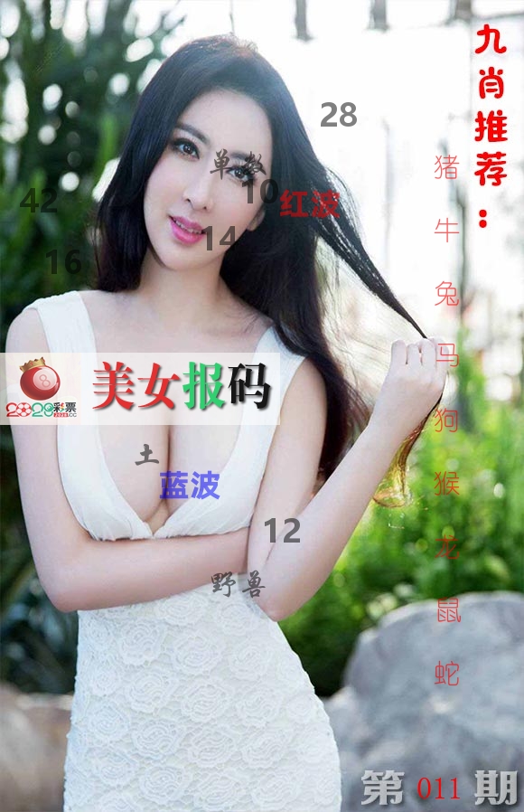 美女报码 第11期