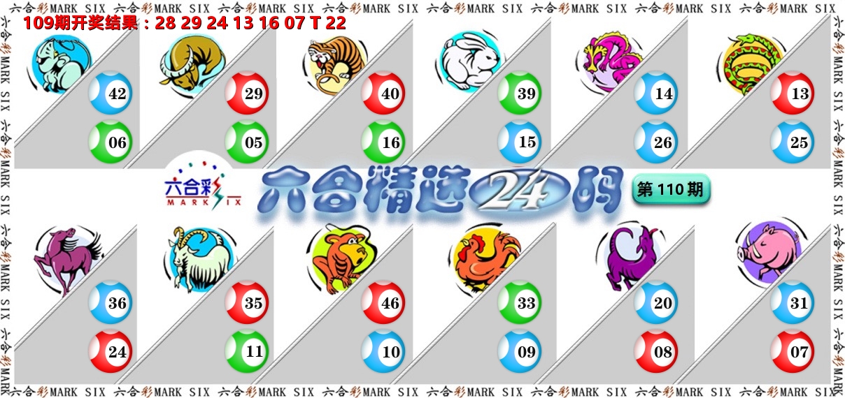 六合精选24码 第110期