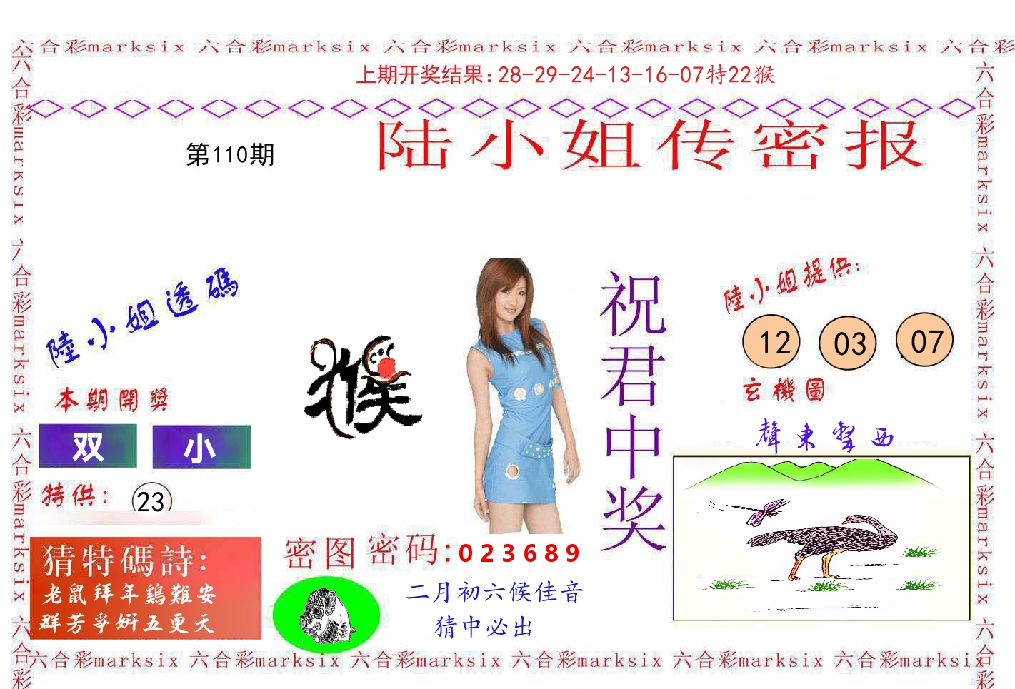 陆小姐密报 第110期