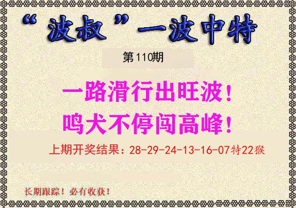 波叔中特 第110期