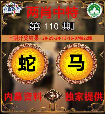 两肖中特 第110期
