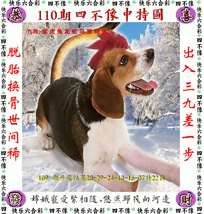 四不像 第110期