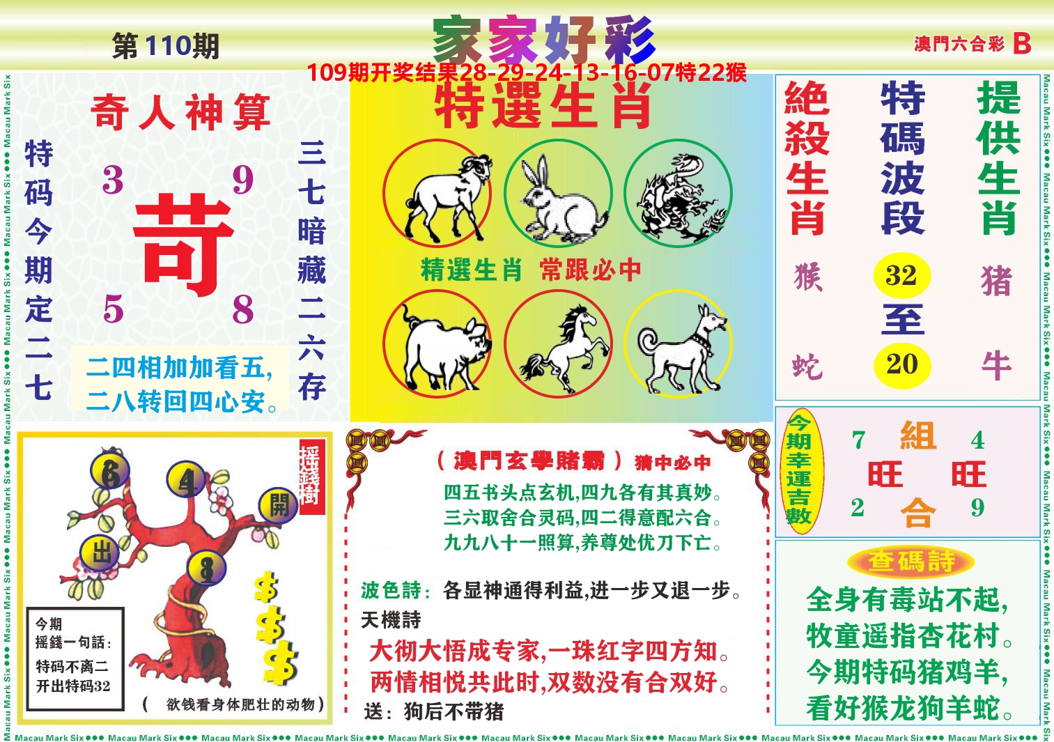 家家好彩B 第110期