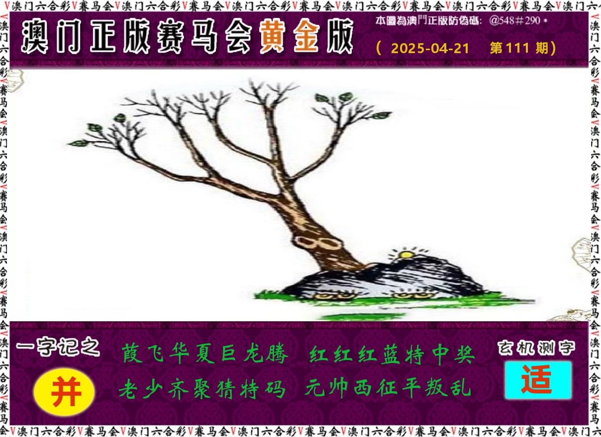 赛马会黄金版 第111期