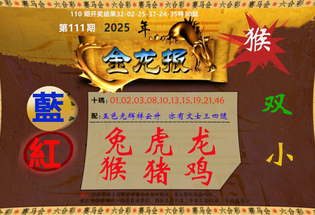 金龙报 第111期