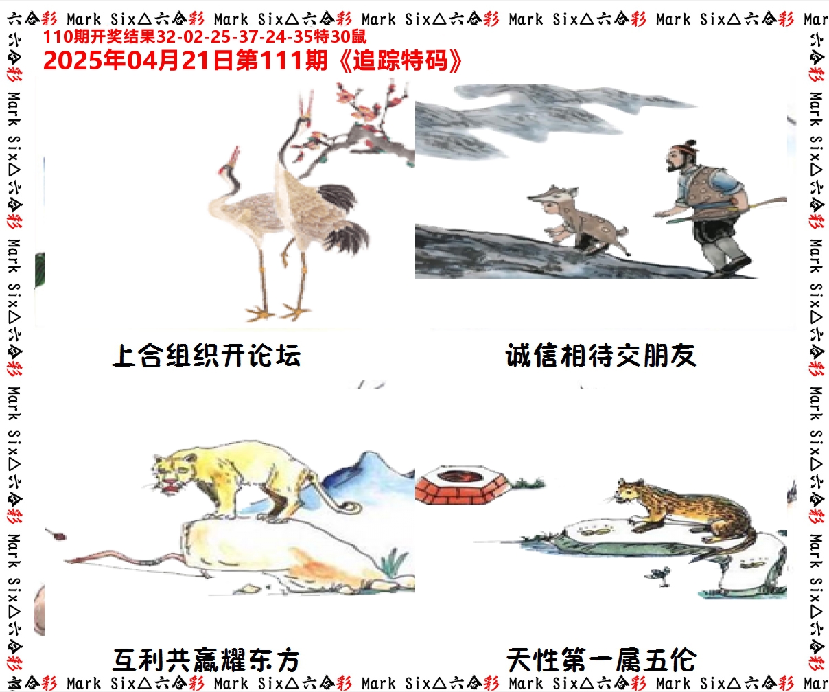 追踪特码 第111期