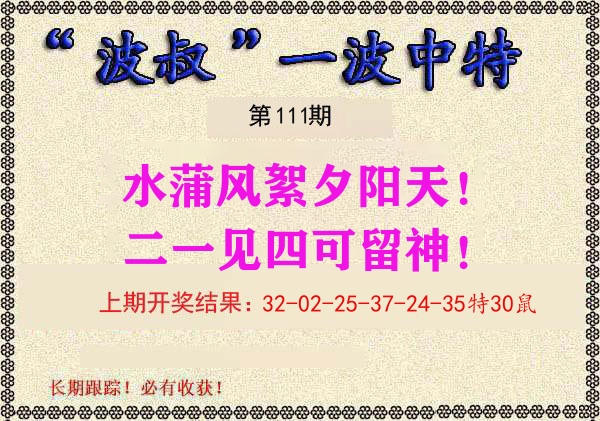 波叔中特 第111期