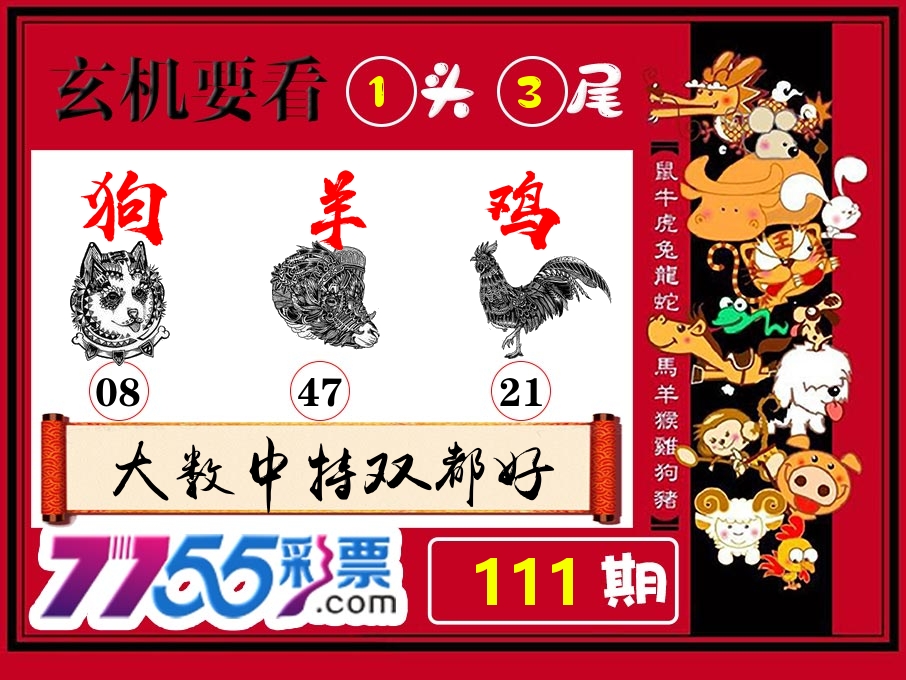 玄机要看 第111期