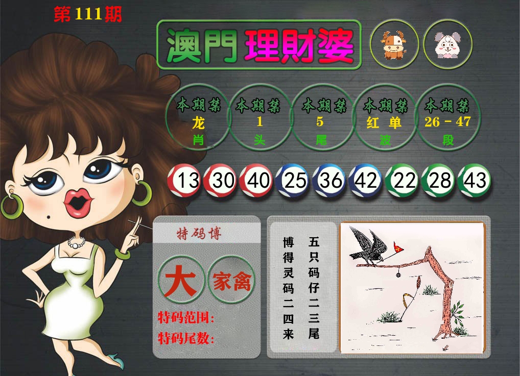 理财婆 第111期
