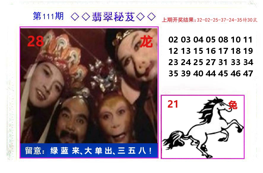 翡翠秘芨 第111期