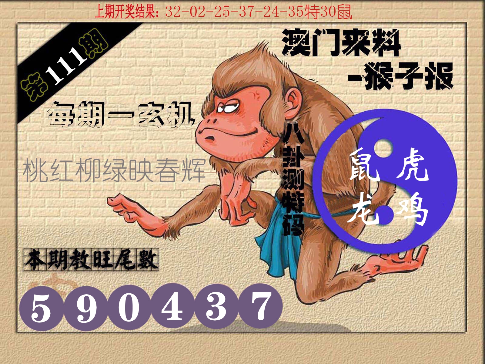 猴子报 第111期