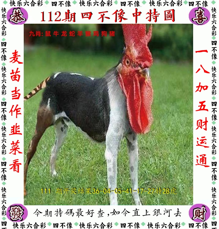 四不像 第112期