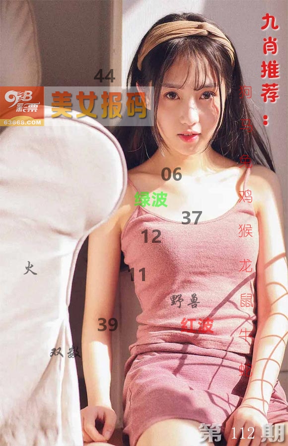 美女报码 第112期