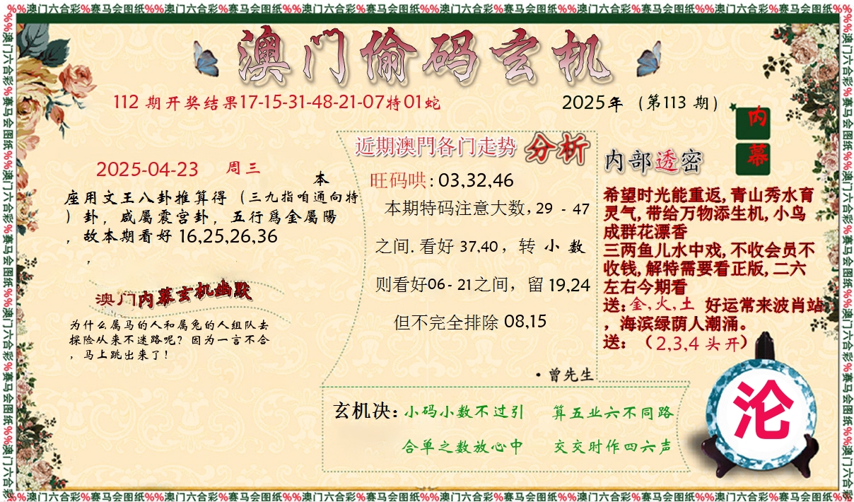 偷码玄机 第113期