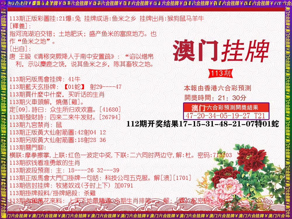 澳门挂牌 第113期