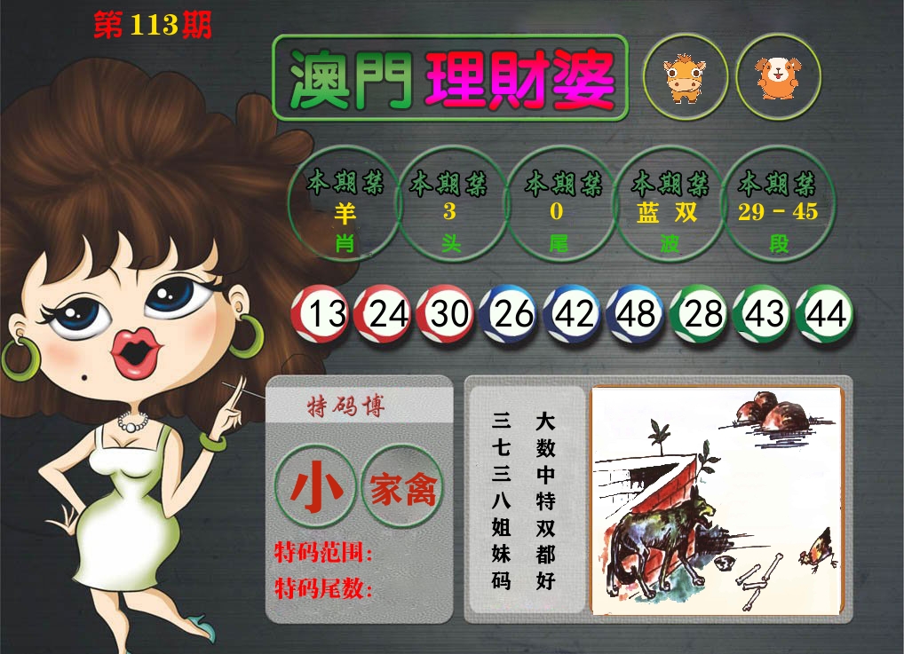 理财婆 第113期