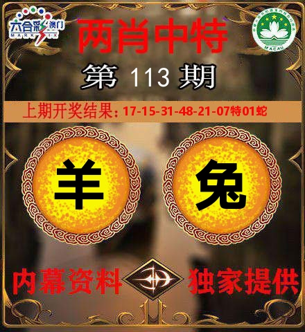 两肖中特 第113期